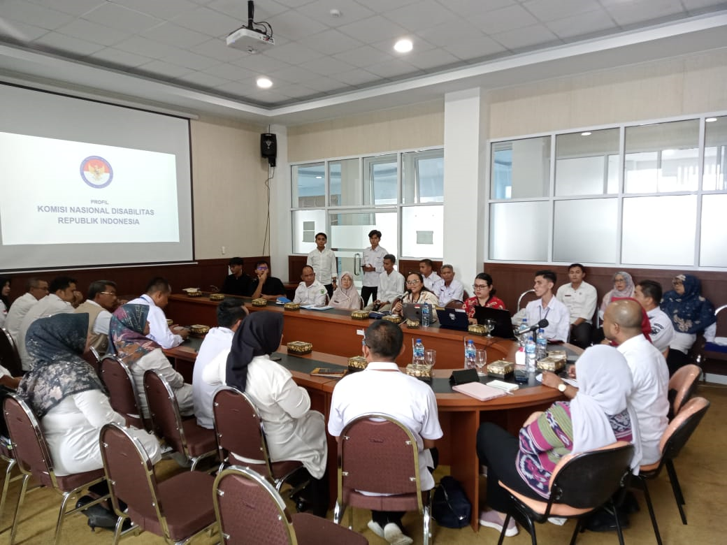 Audiensi bersama Komisi Nasional Disabilitas